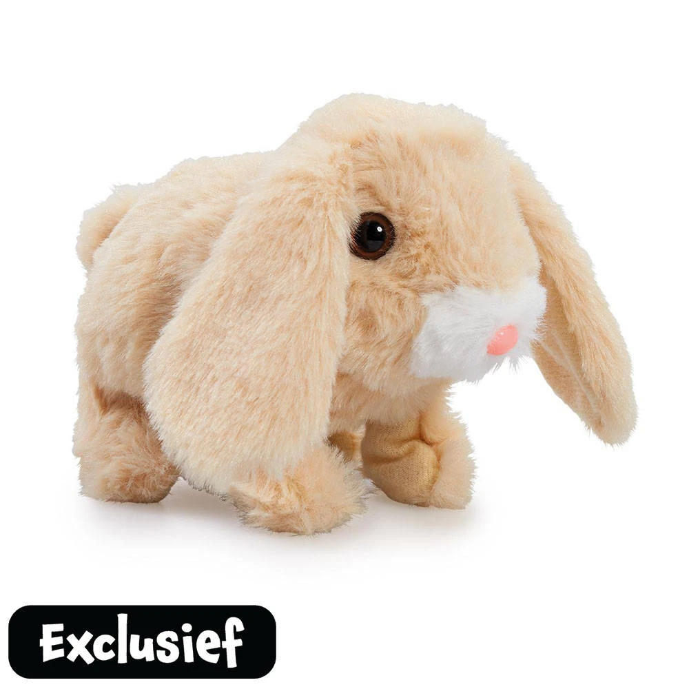 Teeny Weeny Konijn Flapoor 1 Teeny Weeny Konijn Flapoor