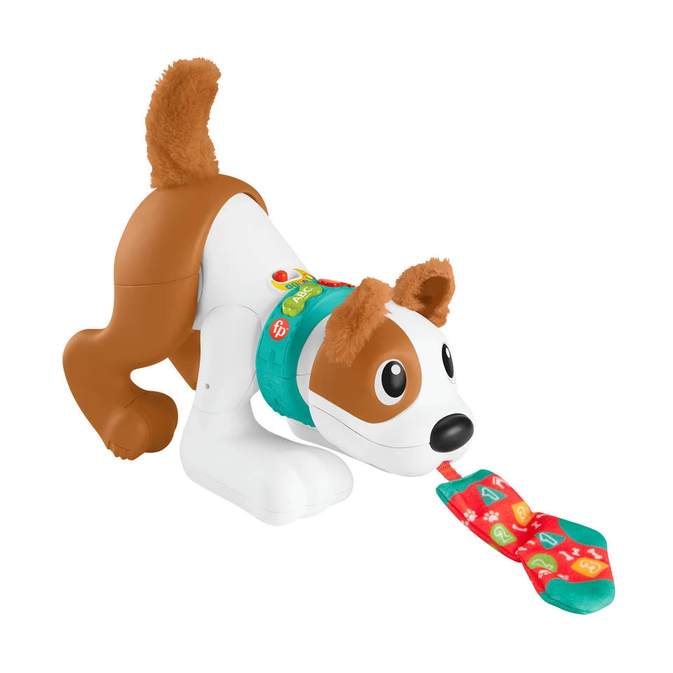 Fisher Price Fisher-Price 123 Kruip Met Mij Puppy 5 Fisher Price Fisher-Price 123 Kruip Met Mij Puppy - Afbeelding 5
