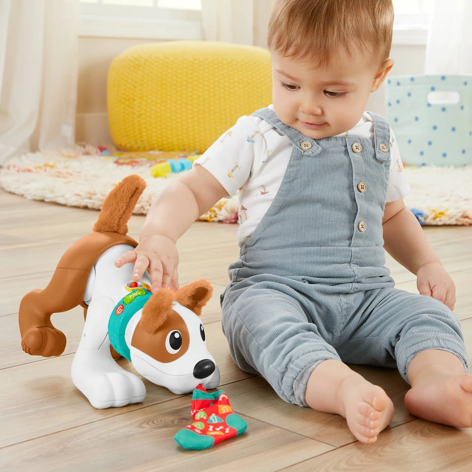 Fisher Price Fisher-Price 123 Kruip Met Mij Puppy 2 Fisher Price Fisher-Price 123 Kruip Met Mij Puppy - Afbeelding 2
