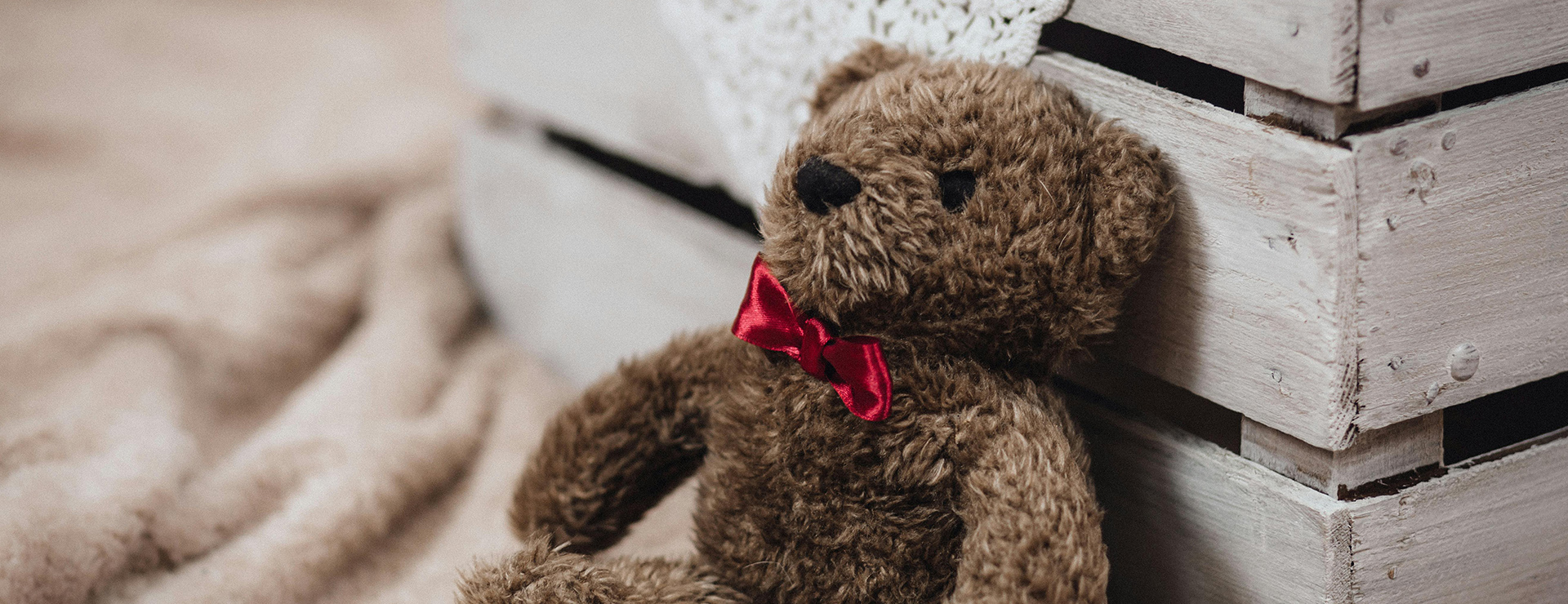 Knuffels -Knuffels pexels freestocks 245914